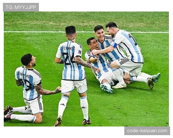 恩佐世界杯关键作用解析：如何成为阿根廷夺冠拼图